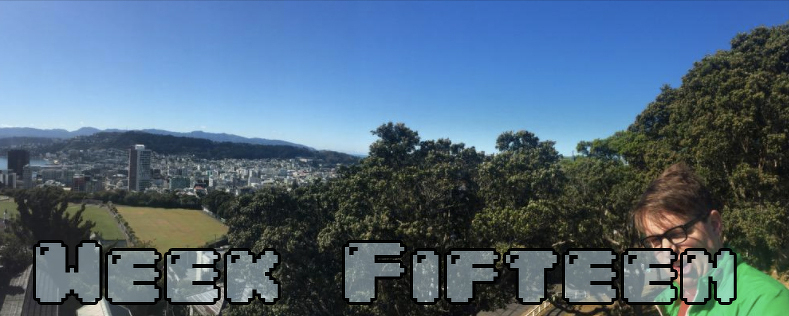 Week Six - Dylan looking insane at the end of a panoramic of Wellington NZ