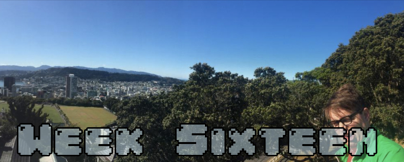 Week Sixteen - Dylan looking insane at the end of a panoramic of Wellington NZ