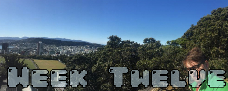 Week 12 - Dylan looking insane at the end of a panoramic of Wellington NZ
