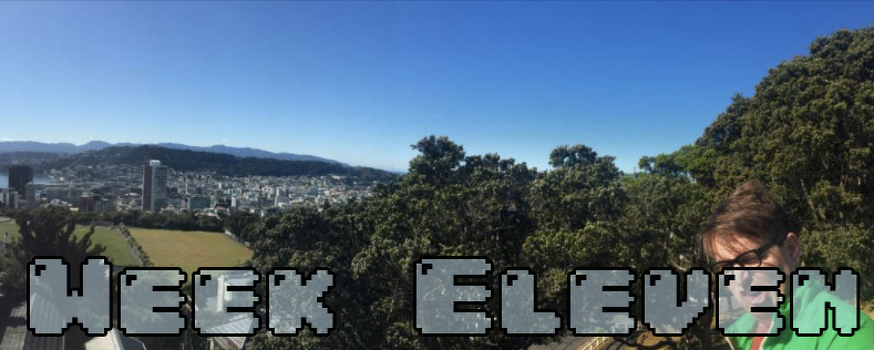 Week Eleven - Dylan looking insane at the end of a panoramic of Wellington NZ