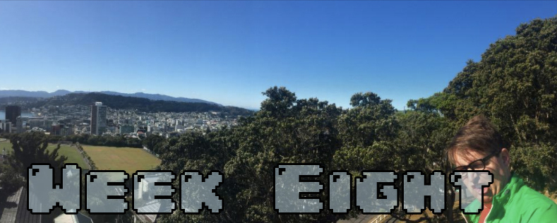 Week Eight - Dylan looking insane at the end of a panoramic of Wellington NZ