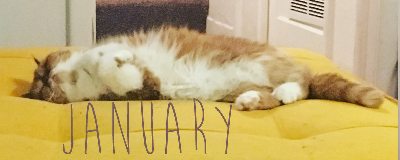 Ramona on her yellow footstool.