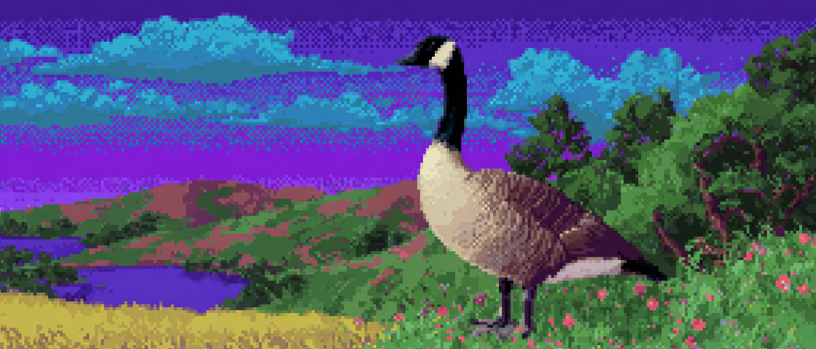 A Canadian goose standing in a field, looking regal and unbothered