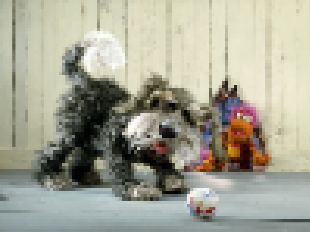 Sprocket the sheepdog barking frantically at a hole in the wall while Doc ignores him