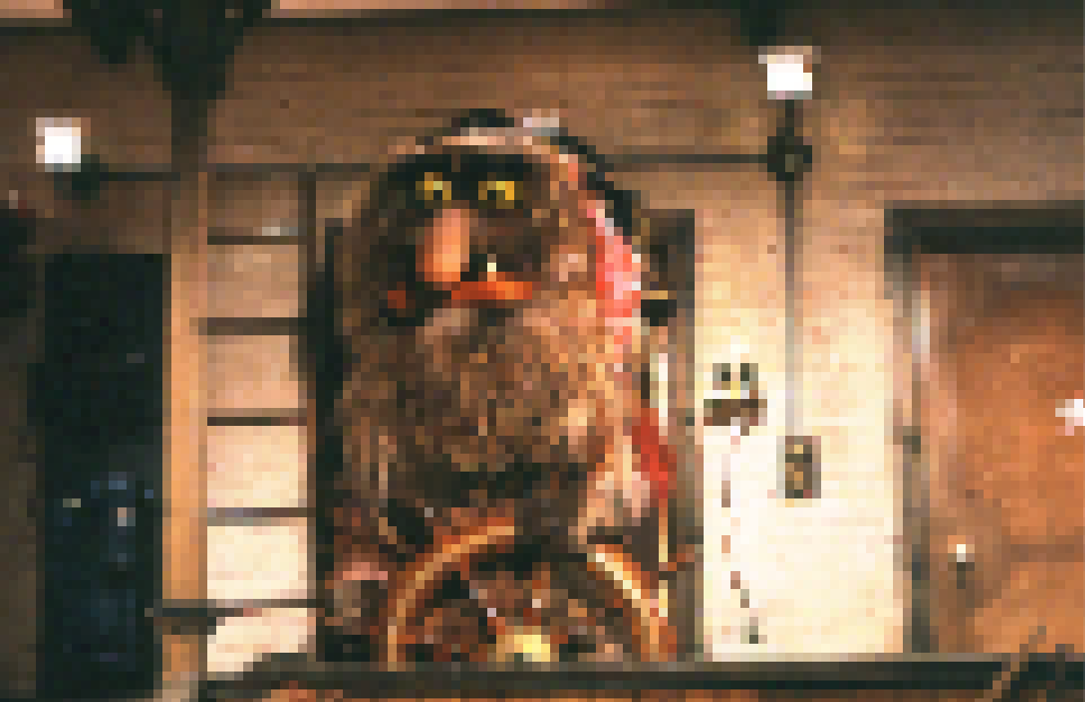 Photo from blog post